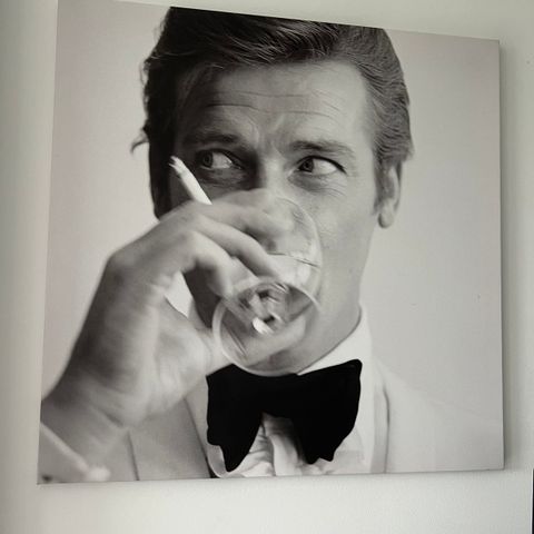 Roger Moore canvas sort -hvitt bilde