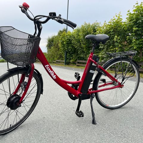 Ecoride Ambassadør