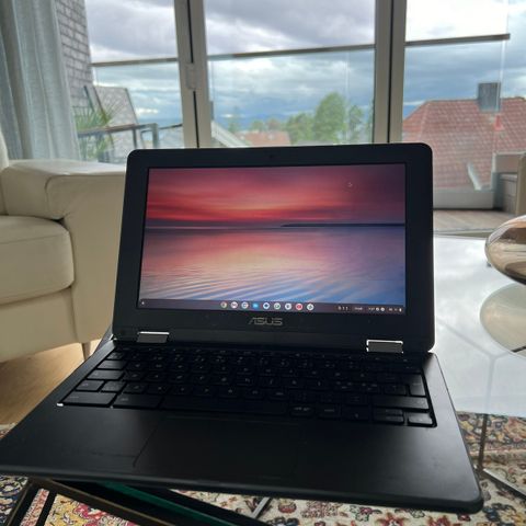 ASUS Chromebook C213N Laptop