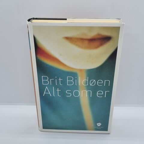 Alt som er - Brit Bildøen