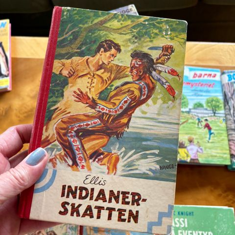 Indianerskatten