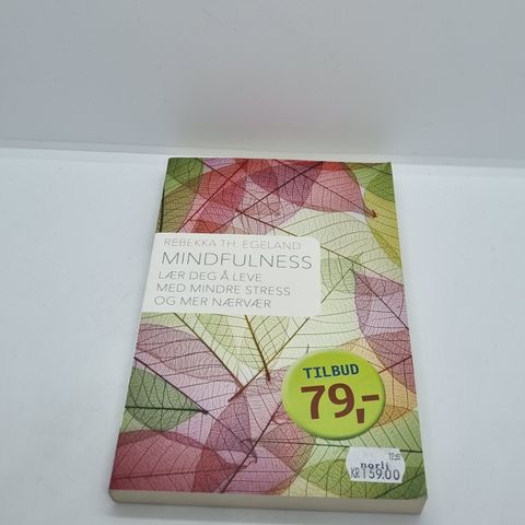 Mindfulness - Rebekka Th. Egeland