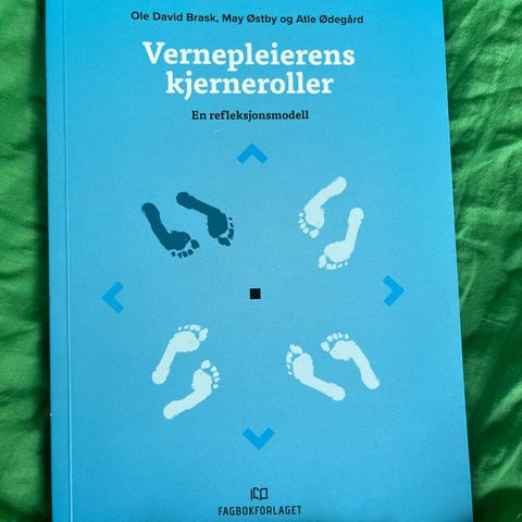 Vernepleierens kjerneroller