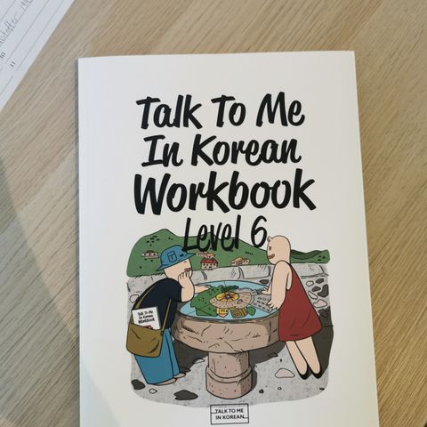 Talk to me in Korean - Workbook level 6