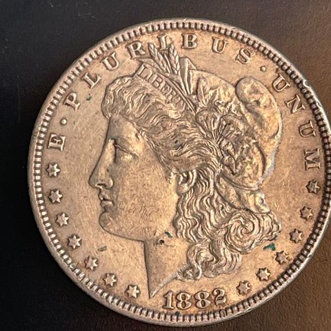 Silver Morgen Dollar 1882