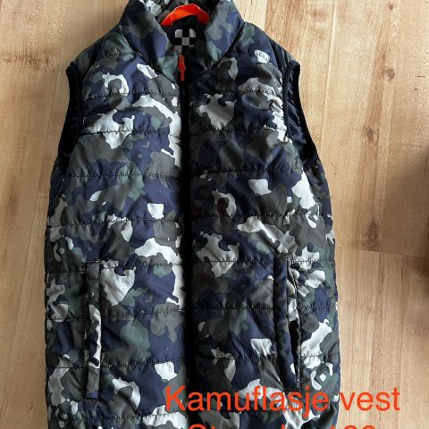 Vest