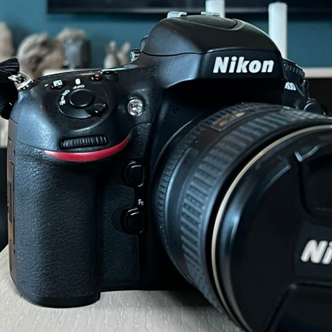 Nikon D800