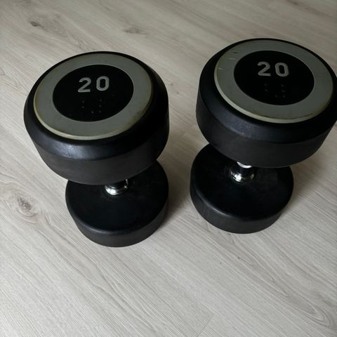 Dumbell 2x20kg