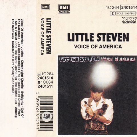 Little Steven - Voice of America