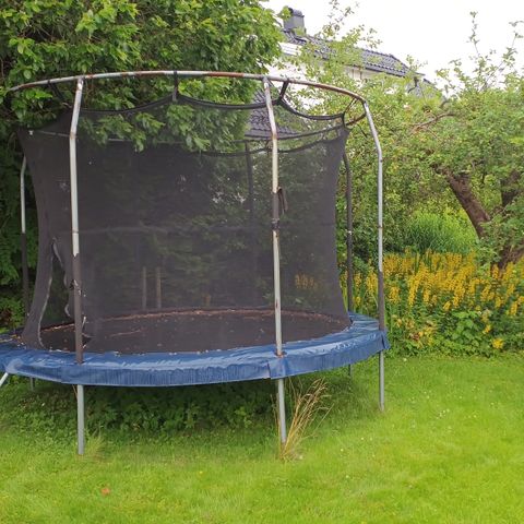 Trampoline