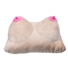 Plush Pillow - funny pute !!  sov godt hver natt :)