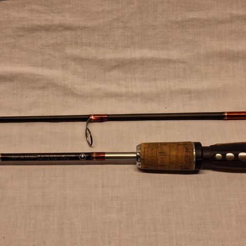 Fiskestang. Berkley Lightning Rod. 9' 10-30gr.