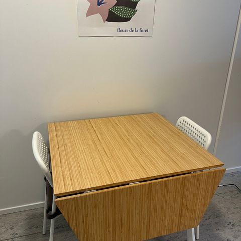 Spisebord- IKEA PS 2012
