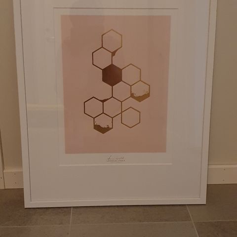 Bee Gone plakat,signert av Hanne Løvdal