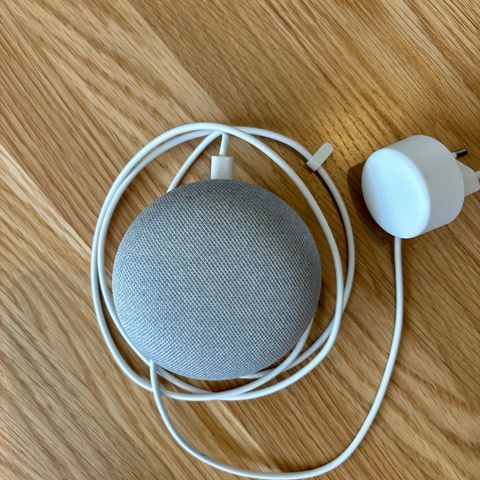 Google Home, 2019