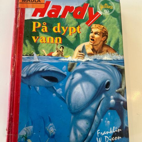 Hardyguttene på dypt vann - 107