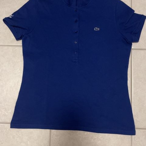 Lacoste dark blue