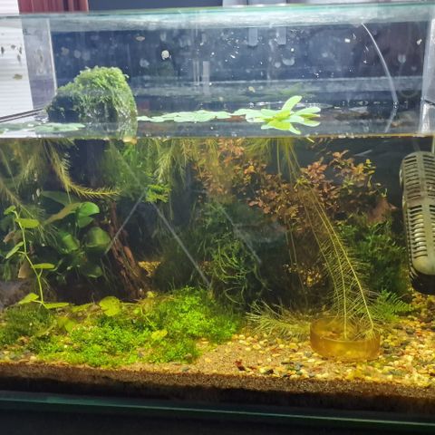 Urbyss R4 43 L akvarium