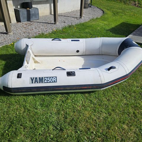 Rib yam250