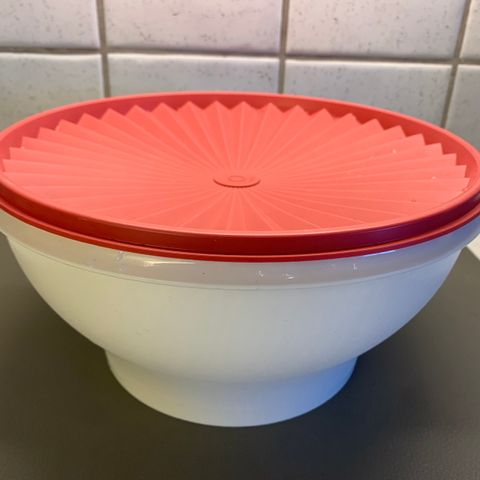 Tupperware Beholder med tett stjernelokk