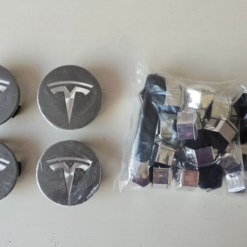 Tesla Model S.3.X.Y Senterkopp sett