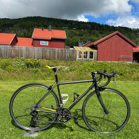 Diamant Pinnacle R4 med Shimano 105 Gir i størrelse 48cm