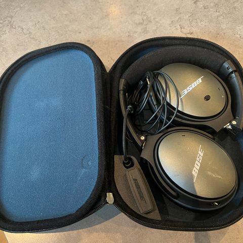 Bose 25