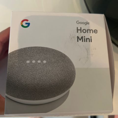 Google home mini