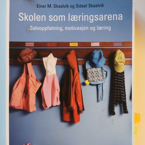 Skaalvik og Skaalvik, Skolen som læringsarena