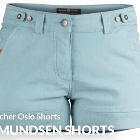 Amundsen 4incher Oslo shorts