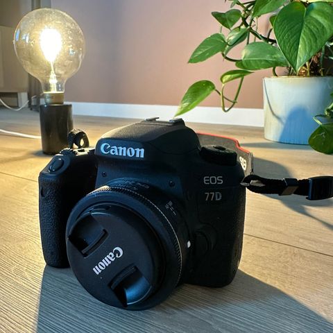 Canon 77D med tilbehør