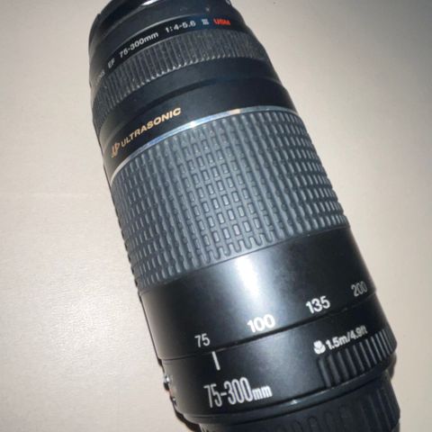Canon EF 75-300/4-5.6 III