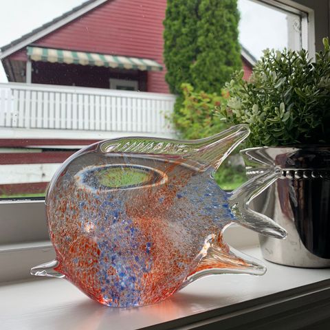 Vakker glass fisk søker nytt hjem.😊🌸