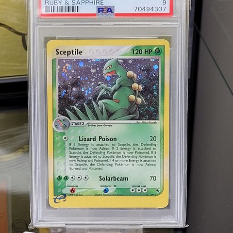 PSA 9 Pokemon EX Ruby & Sapphire Sceptile Holo 11/109 2003