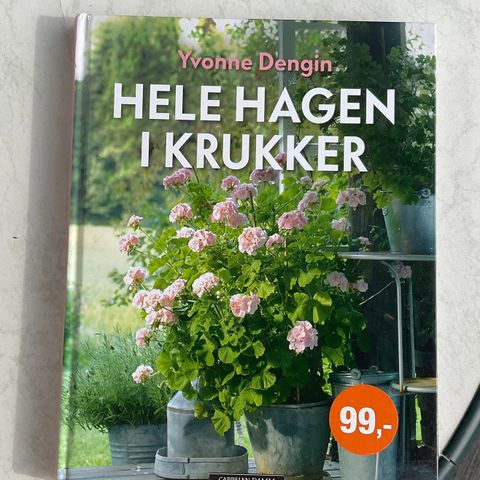 Hele hagen i krukker