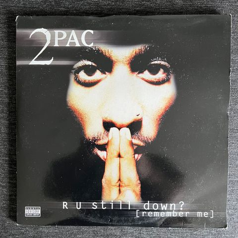 2pac vinyl - R U still down?