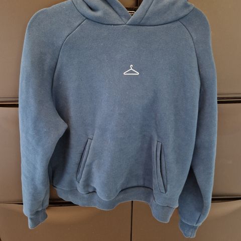 Holzweiler hoodie