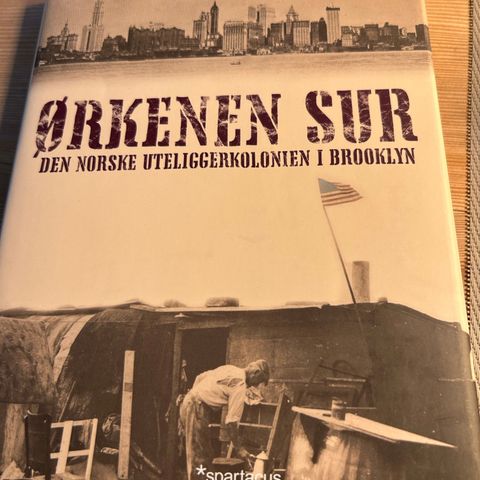 Ørkenen Sur den norske uteliggerkolonien i Brooklyn av T.Gotaas &R.Kvarsvik