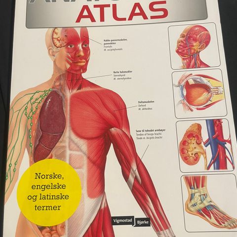 Anatomisk Atlas