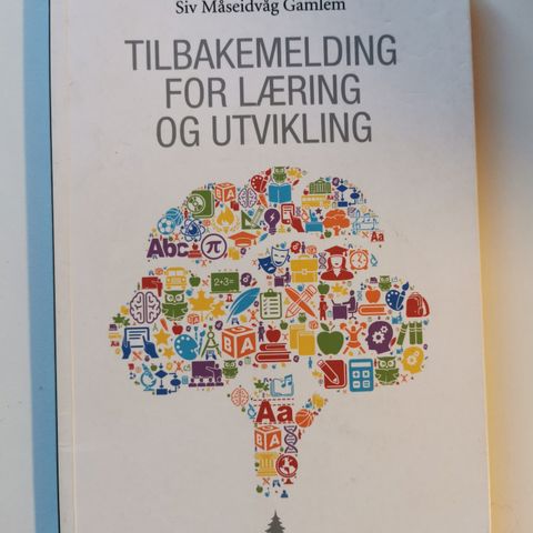 Gamlem, Tilbakemelding for læring og utvikling