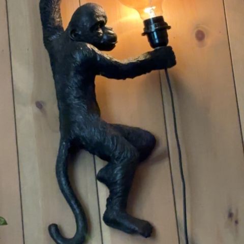 Ape lampe