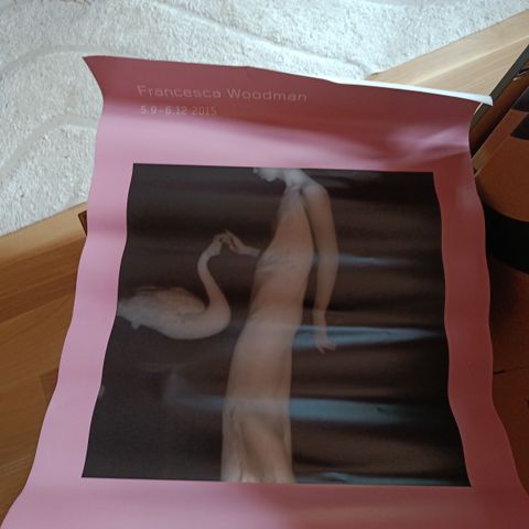 Francesca Woodman Plakat 2015