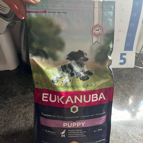 Eukanuba Valpe for