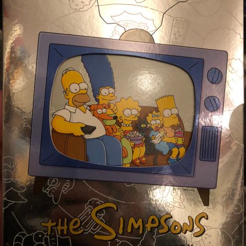 The Simpsons sesonger (Dvd)