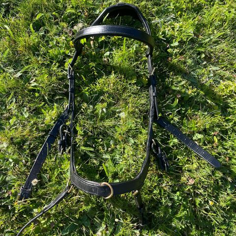 Rambo micklem multibridle selges