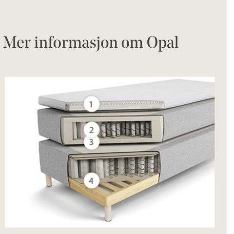 Jensen Opal seng