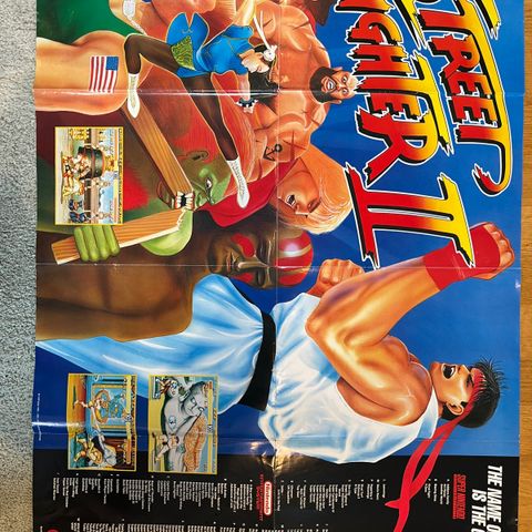 Street fighter poster