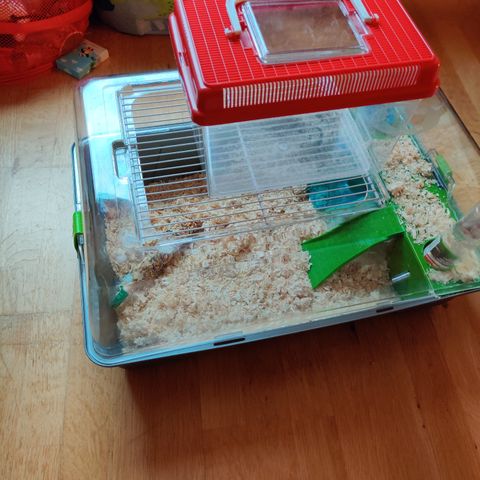 Hamsterbur og transportbur selges