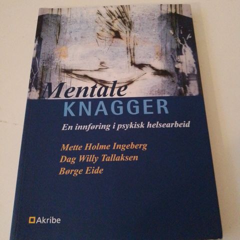 Mentale knagger - en innføring i psykisk helsearbeid