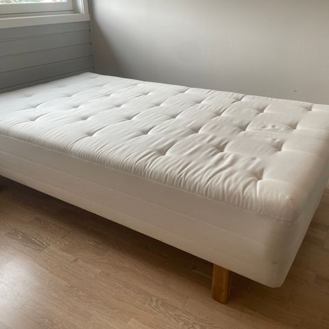 IKEA sultan seng